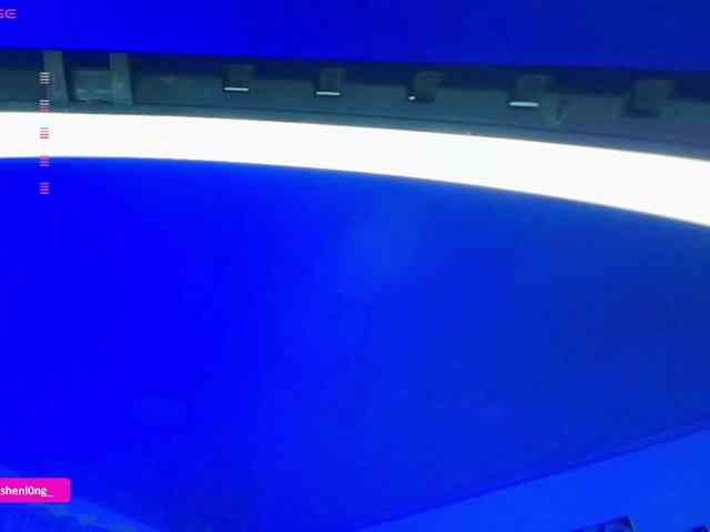 Nicorobin webcam