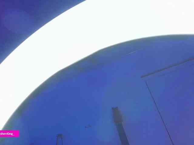 Nicorobin webcam