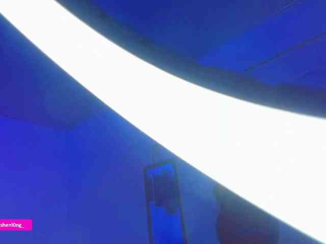 Nicorobin webcam