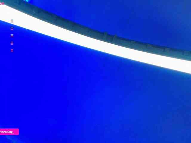 Nicorobin webcam