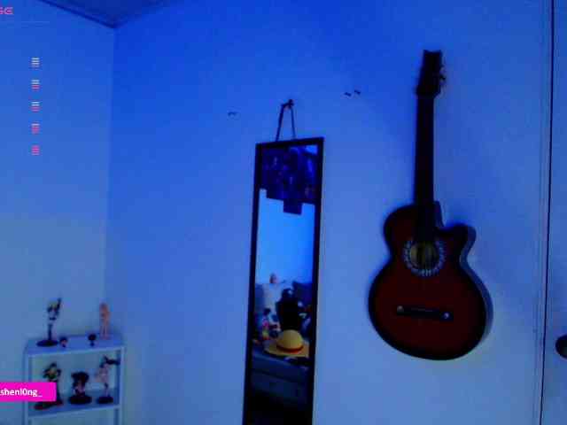Nicorobin webcam