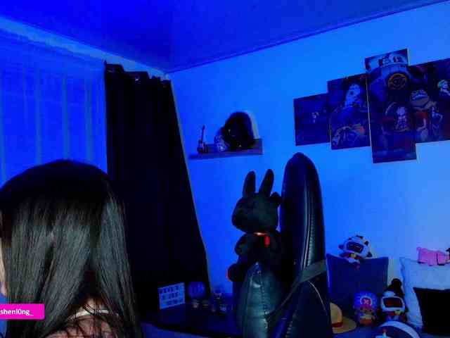 Nicorobin webcam