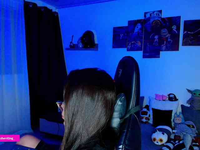 Nicorobin webcam