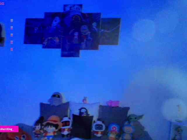 Nicorobin webcam