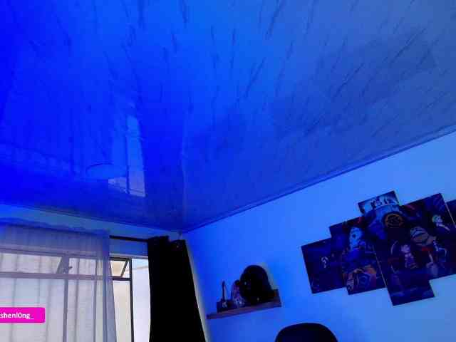 Nicorobin webcam