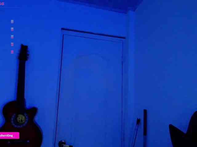 Nicorobin webcam