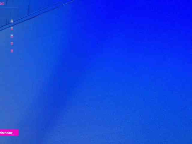 Nicorobin webcam