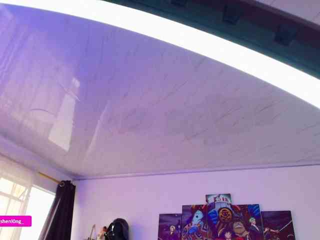 Nicorobin webcam