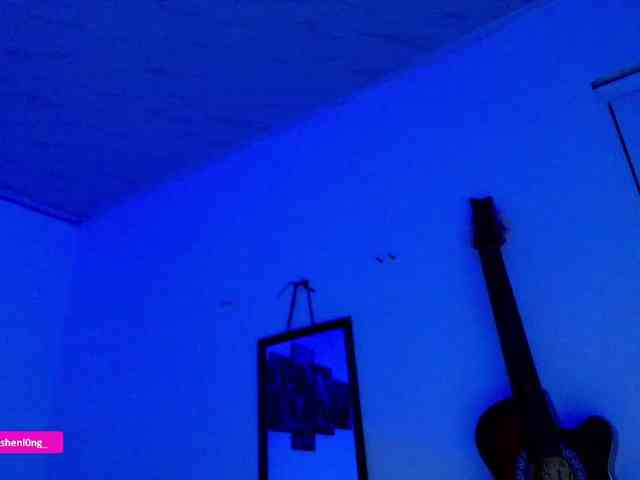 Nicorobin webcam