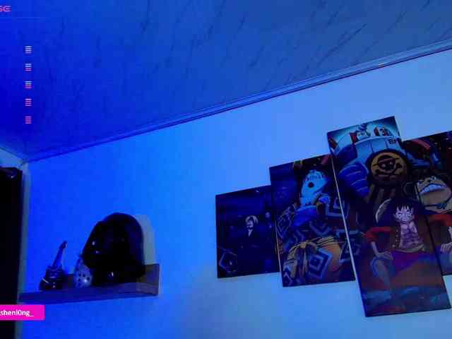 Nicorobin webcam