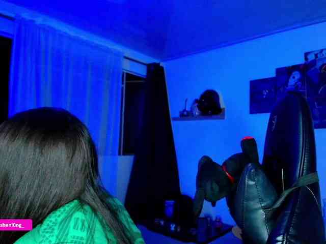 Nicorobin webcam