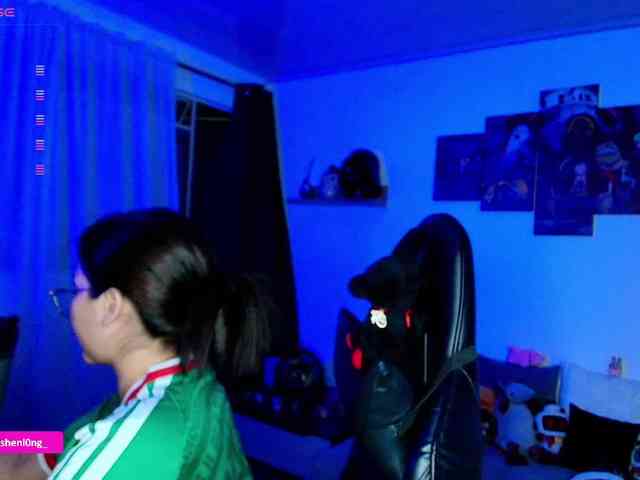 Nicorobin webcam