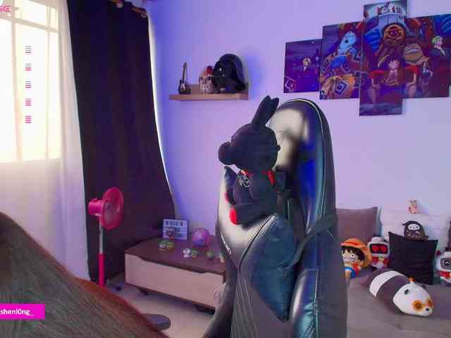 Nicorobin webcam