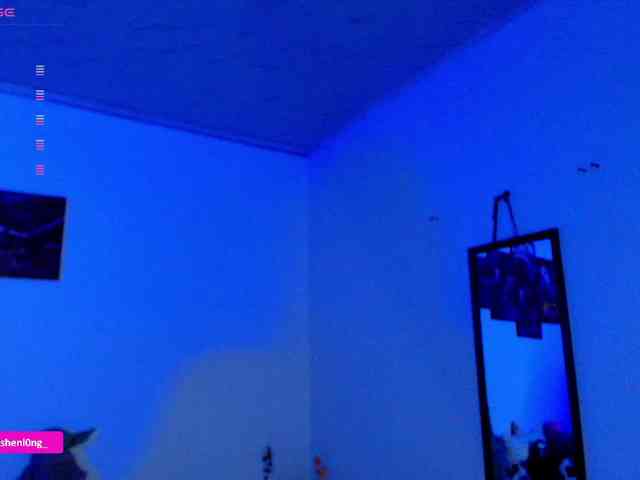 Nicorobin webcam