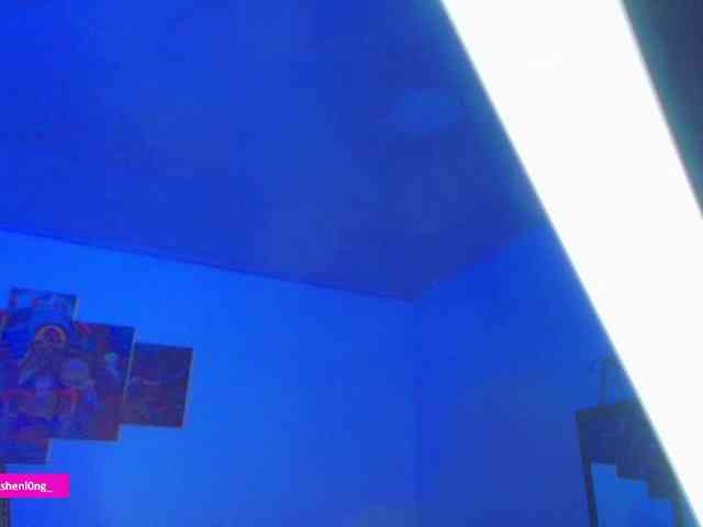 Nicorobin webcam