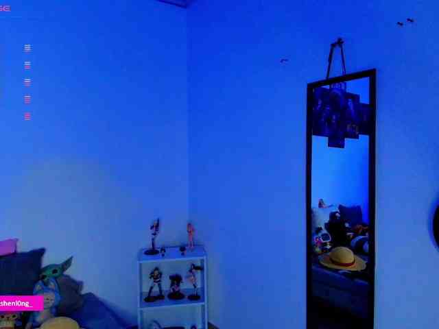 Nicorobin webcam