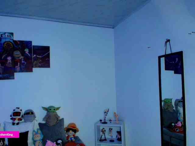 Nicorobin webcam