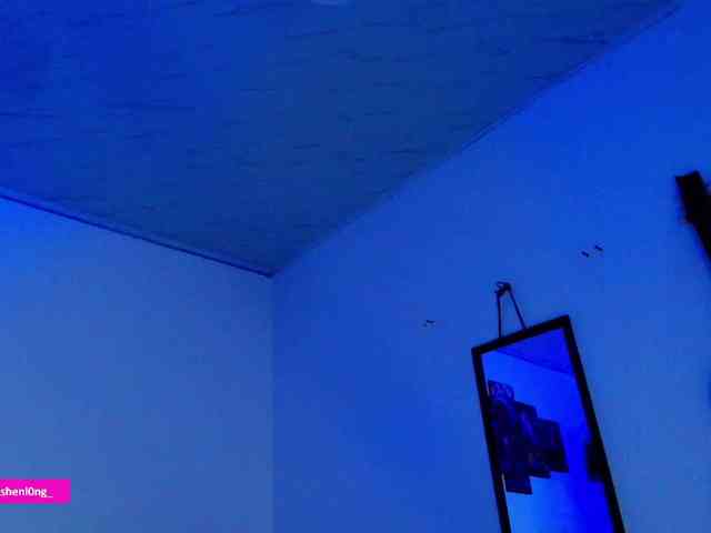 Nicorobin webcam