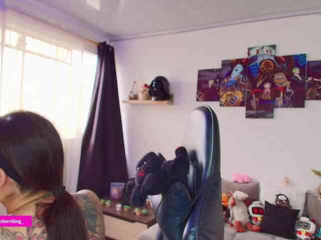 Nicorobin webcam