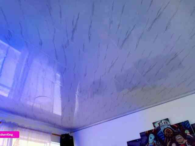 Nicorobin webcam