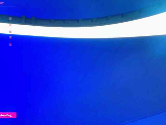 Nicorobin webcam