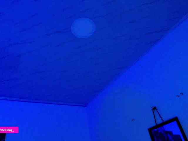 Nicorobin webcam