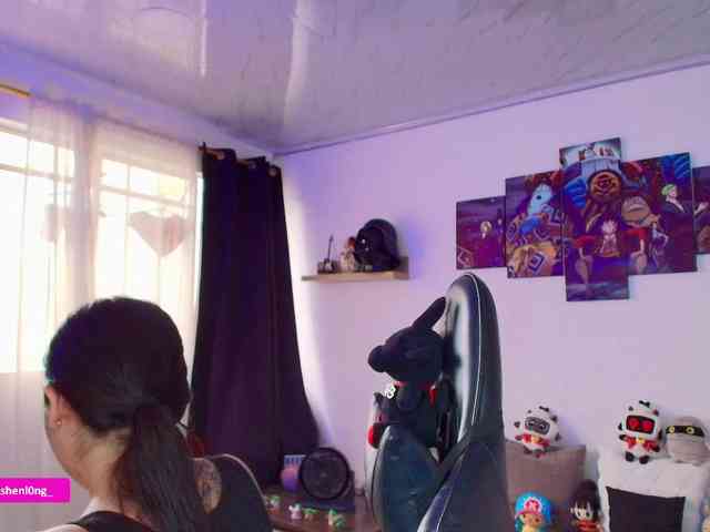 Nicorobin webcam