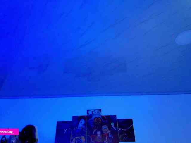 Nicorobin webcam