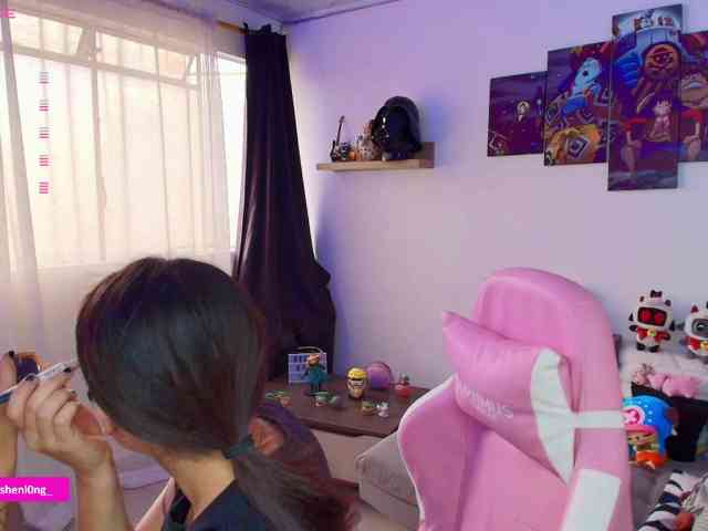 Nicorobin webcam