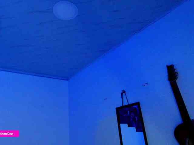 Nicorobin webcam