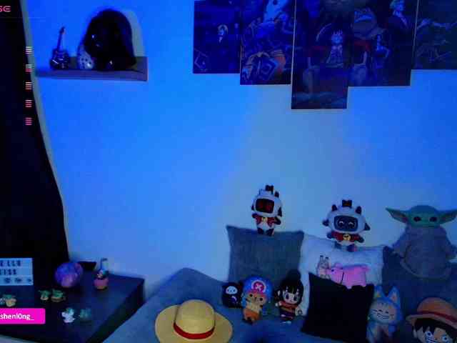 Nicorobin webcam