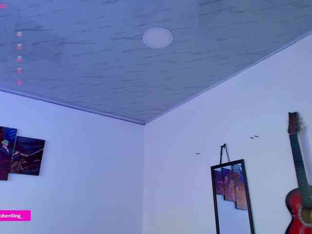 Nicorobin webcam