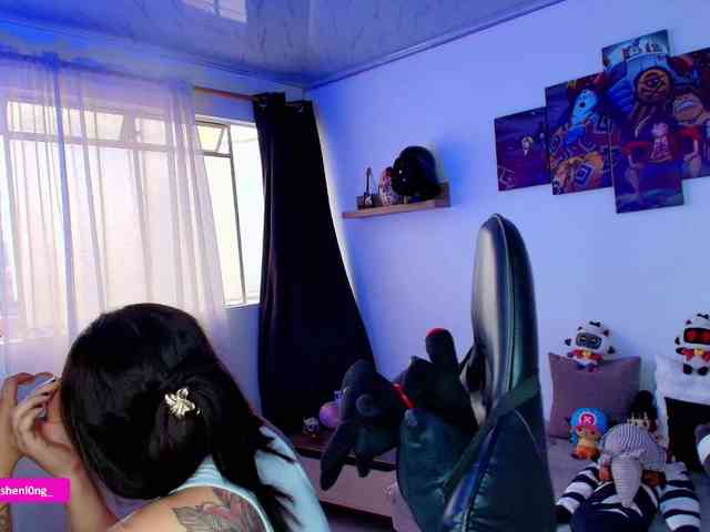 Nicorobin webcam