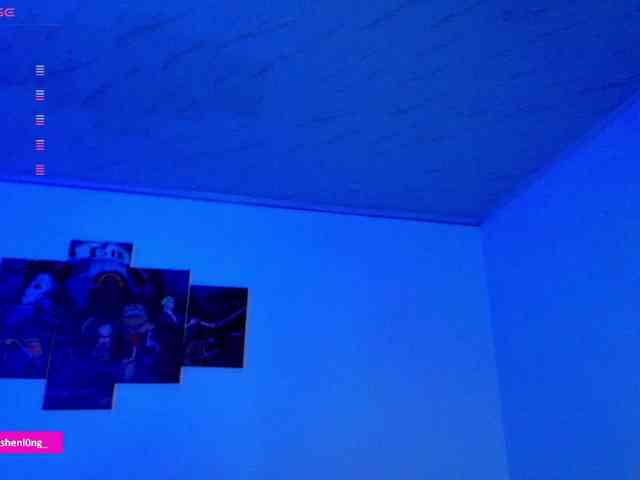 Nicorobin webcam