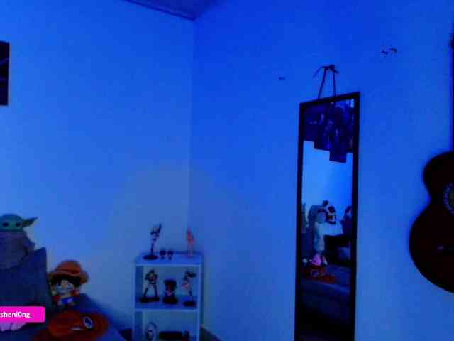 Nicorobin webcam
