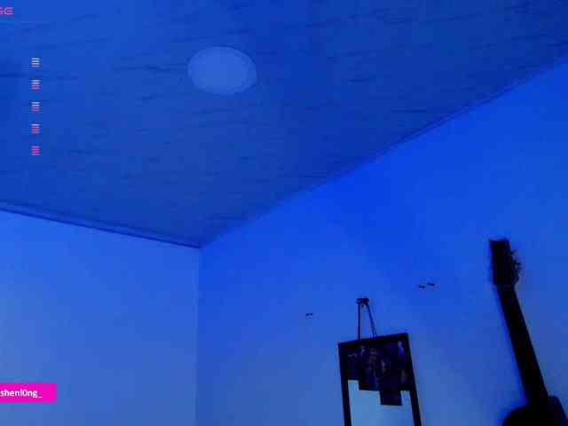 Nicorobin webcam