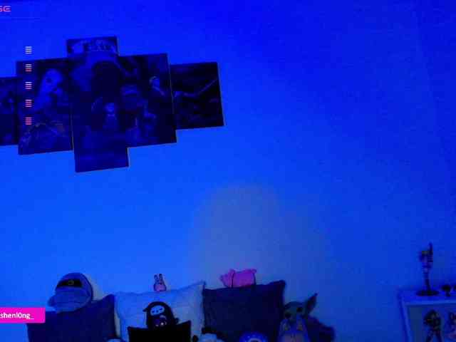 Nicorobin webcam