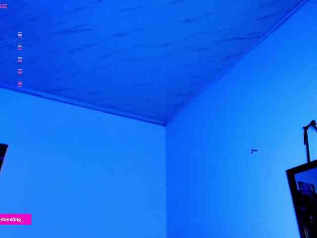 Nicorobin webcam