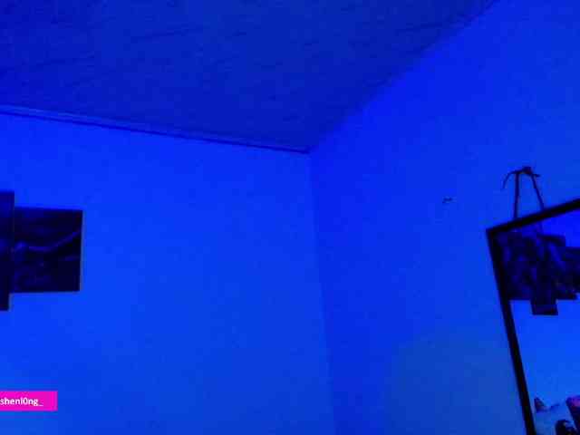 Nicorobin webcam
