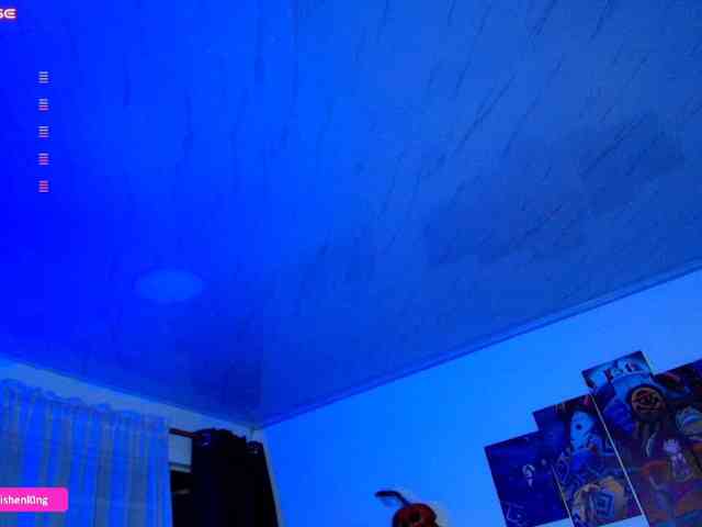 Nicorobin's live stream
