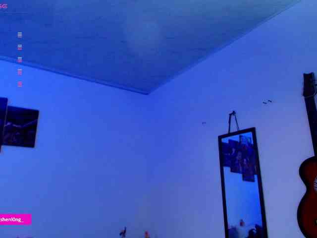 Nicorobin webcam