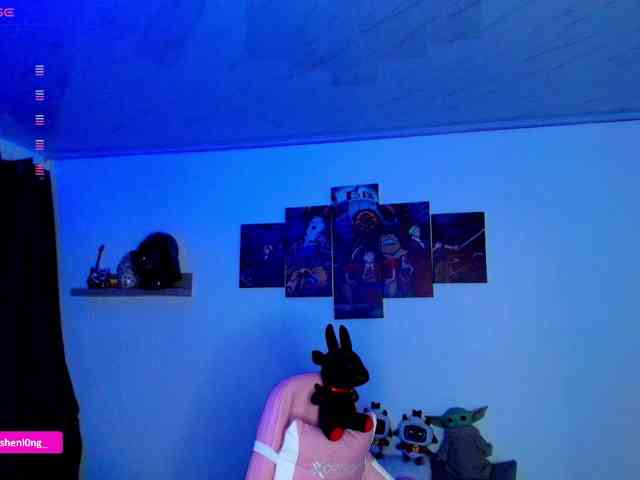 Nicorobin webcam