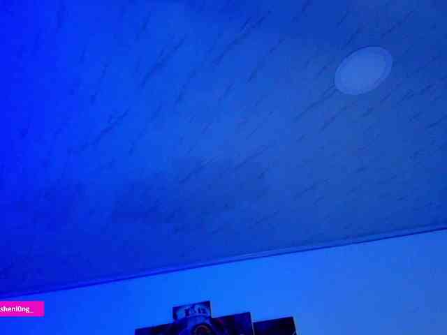 Nicorobin webcam