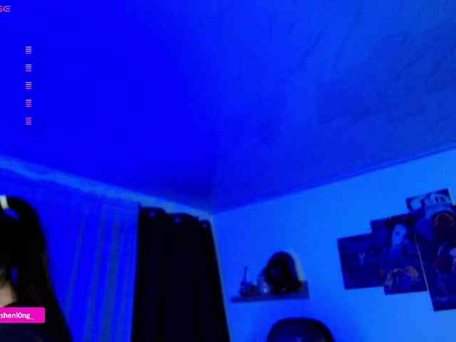 Nicorobin webcam