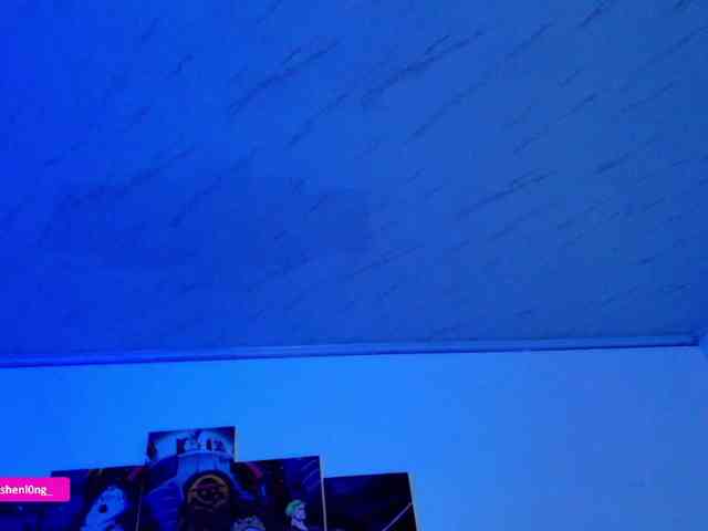 Nicorobin webcam