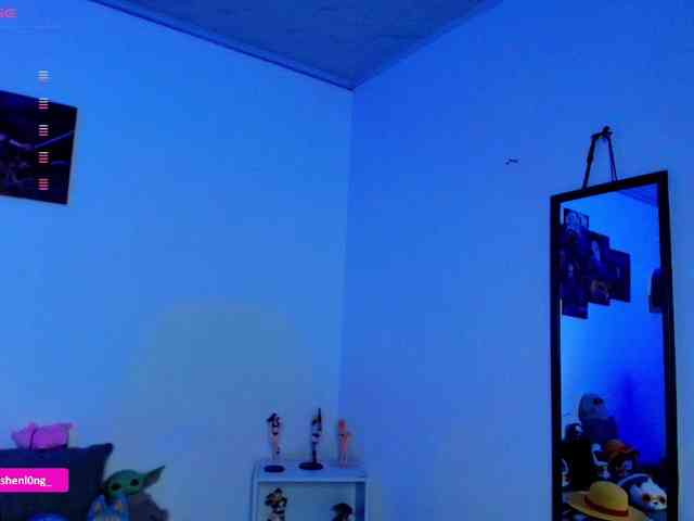 Nicorobin webcam