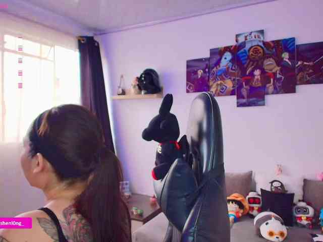 Nicorobin webcam