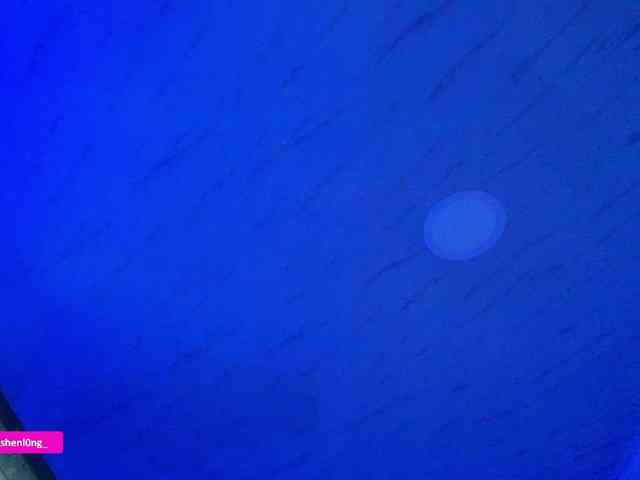 Nicorobin webcam