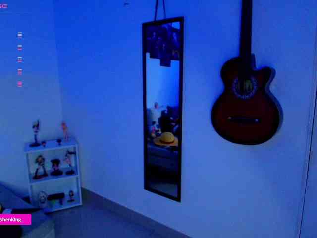 Nicorobin webcam