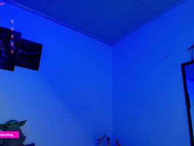 Nicorobin webcam